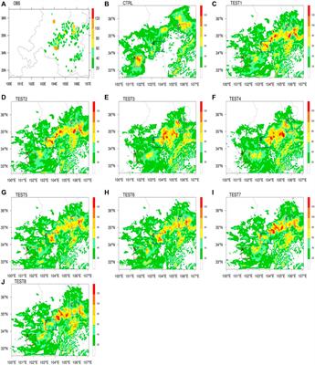Influence of the upper gravity-wave damping layer on precipitation over complex terrain